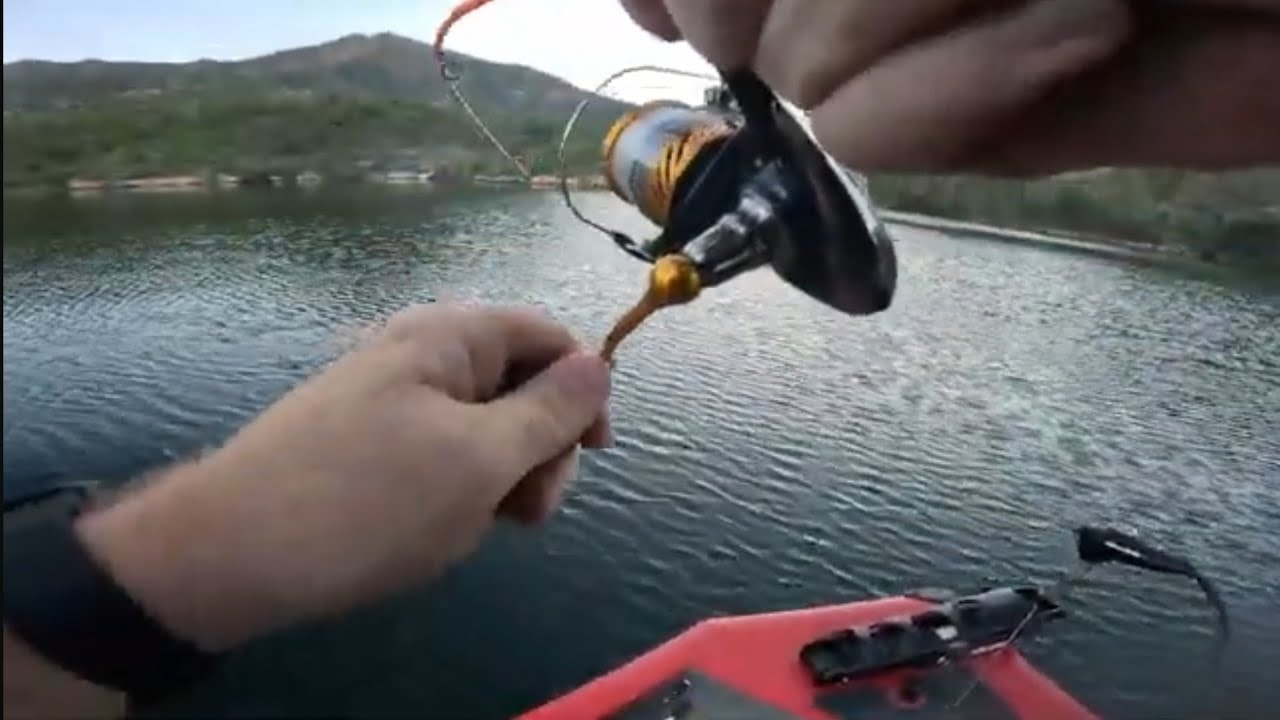 20+ Bass Day @ Whiskeytown Lake