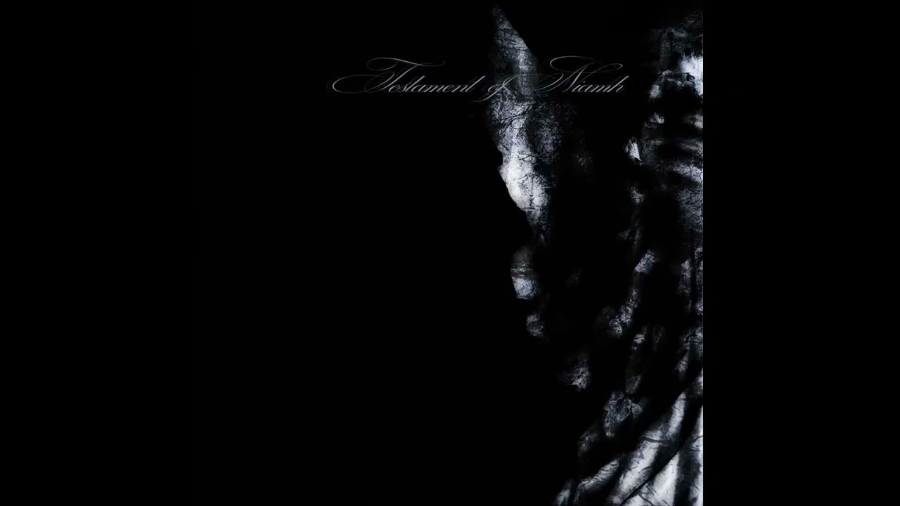 Testament Of Niamh - Practice Recordings