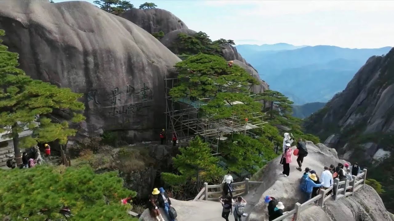 China's iconic pine on Huangshan Mountain undergoes comprehensive examination