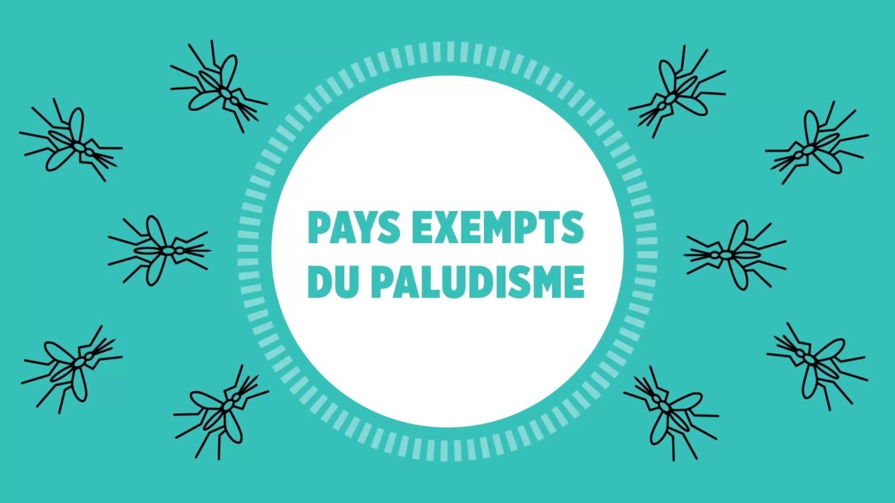 OMS : Paludisme - Progr&egrave;s et d&eacute;fis au niveau mondial en 2016