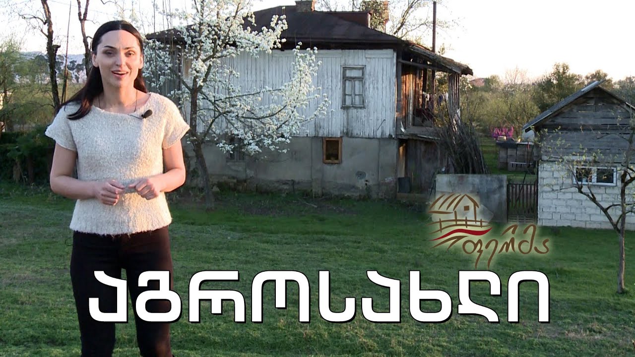 ფერმა - აგროსახლი, ნიადაგის ანალიზი და თხილის დაკალმების განსხვავებული მეთოდი