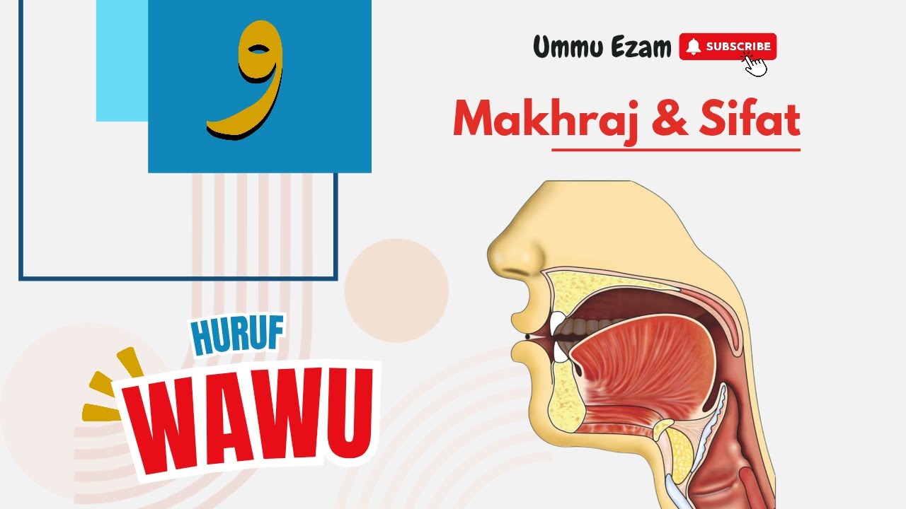 Makhraj Huruf Wawu و | #belajartahsin