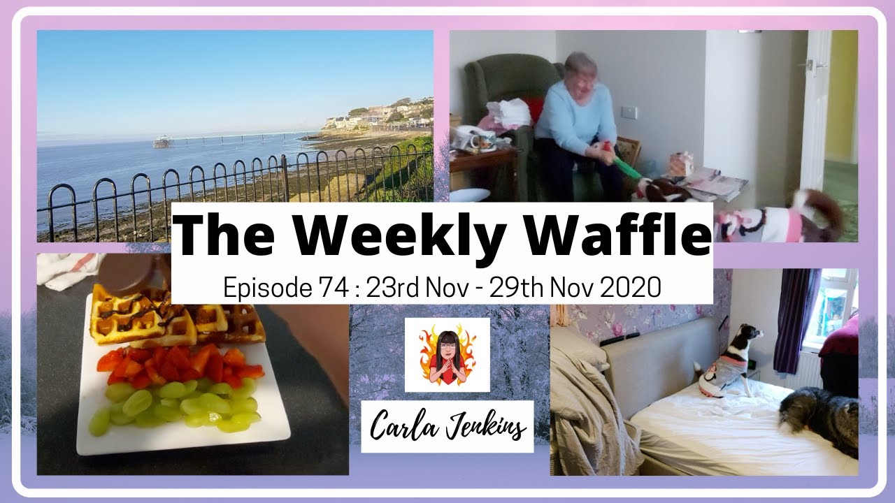 THE WEEKLY WAFFLE EP: 74 - Dogs, Dishwashers, Dunno really...