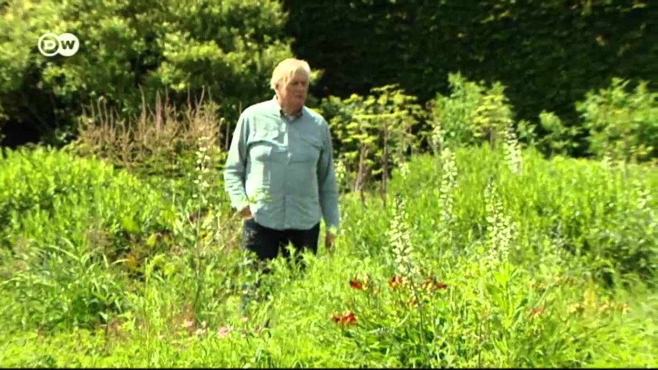 Wilde Gärten | Euromaxx