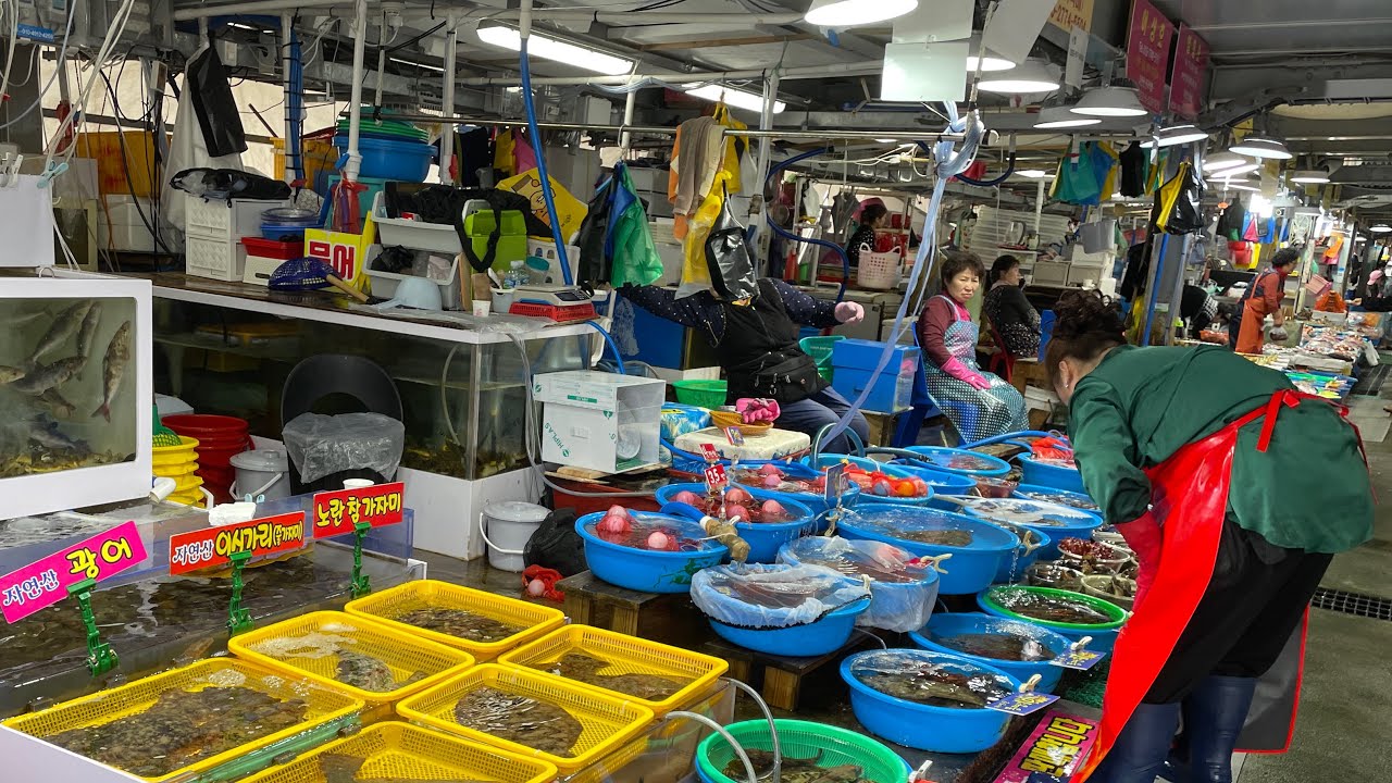 주문진수산시장 라이브방송 합니다