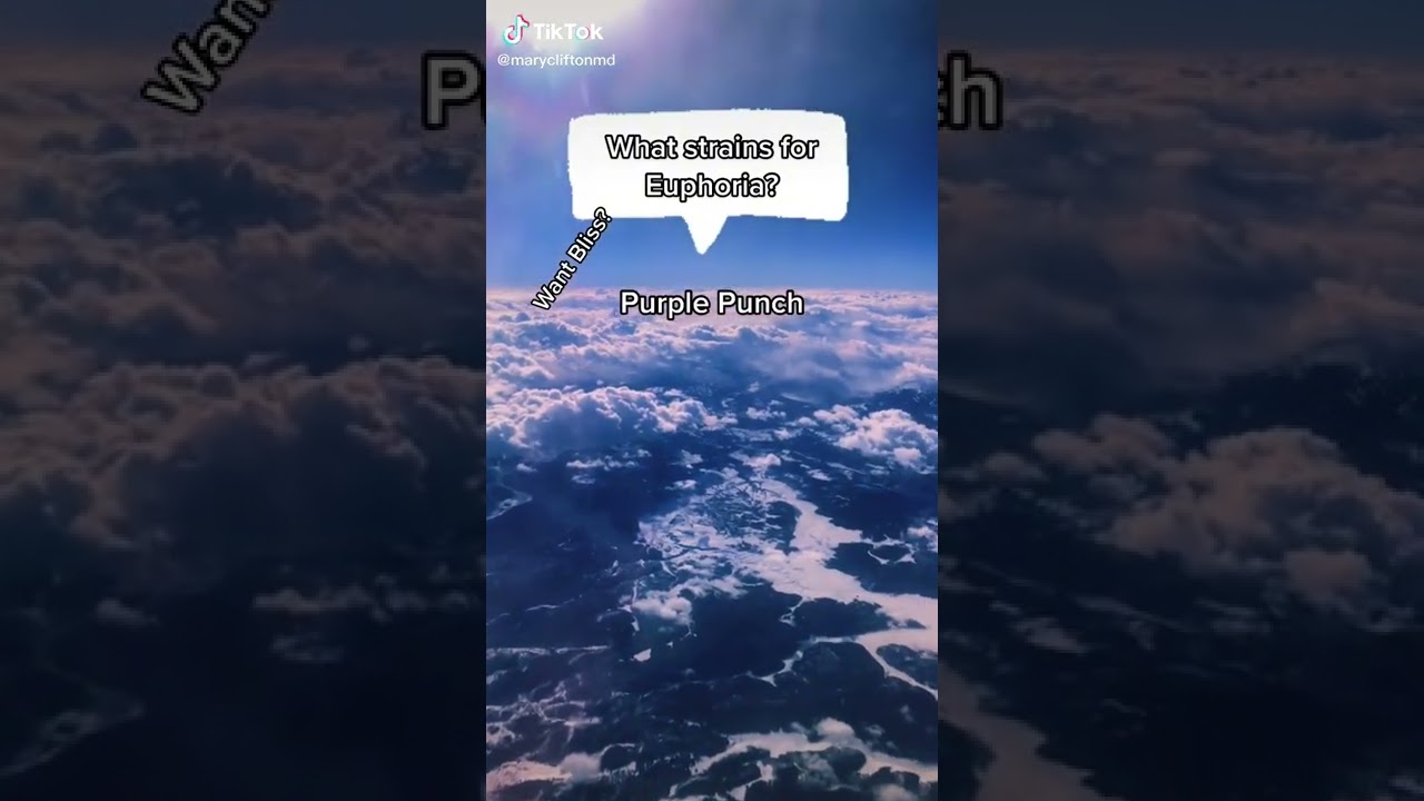 Best Cannabis strain to enhance euphoria. 🥦🤗 #cbd #medicalcannabis #weed #strains #cbdforlife