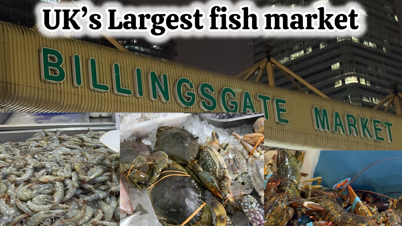 Uk’s largest fish market || BillingsGate fish Market London || @Rameshvari.Meghji
