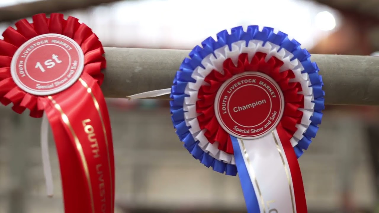 Partney Fair Sheep Show & Sale 2025 at Louth Livestock Market