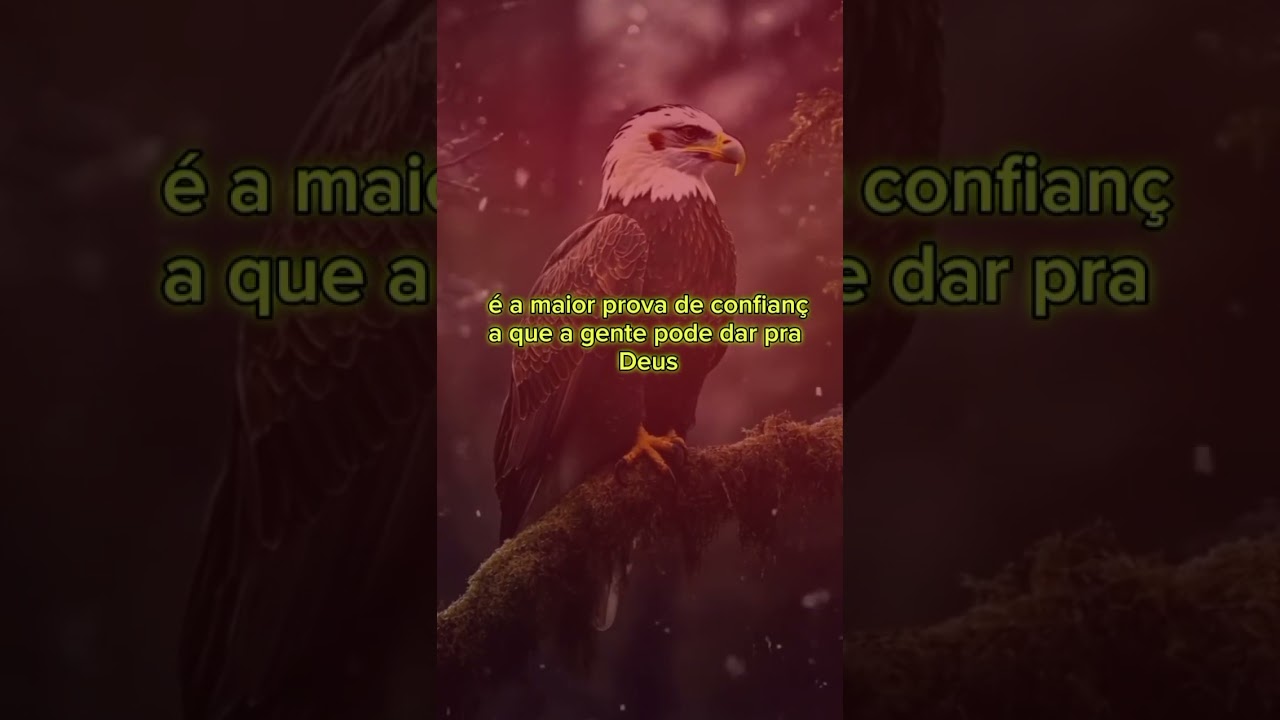 Prepare-se para uma TRANSFORMAÇÃO COMPLETA na sua vida financeira. . Amém! 🍂