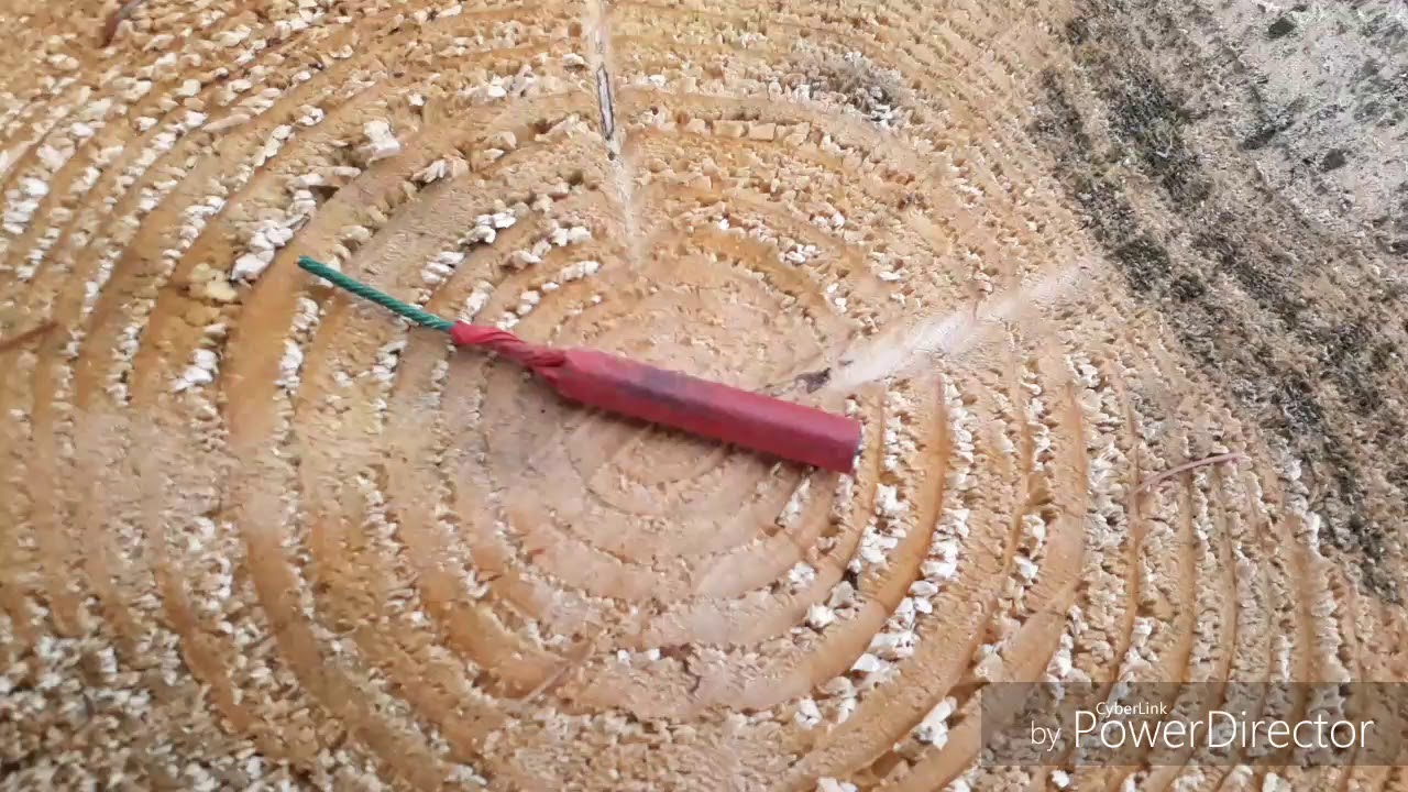 Blitz Knaller auf Baumstumpf !💥💣 | Extrem Heftig !!! | PyroTechnicker Flo