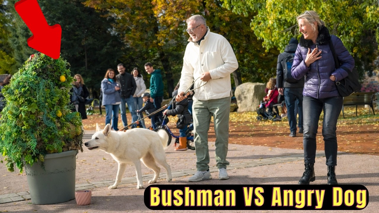 Boys Wasted Their Drinks on Bushman..(What Happened After )