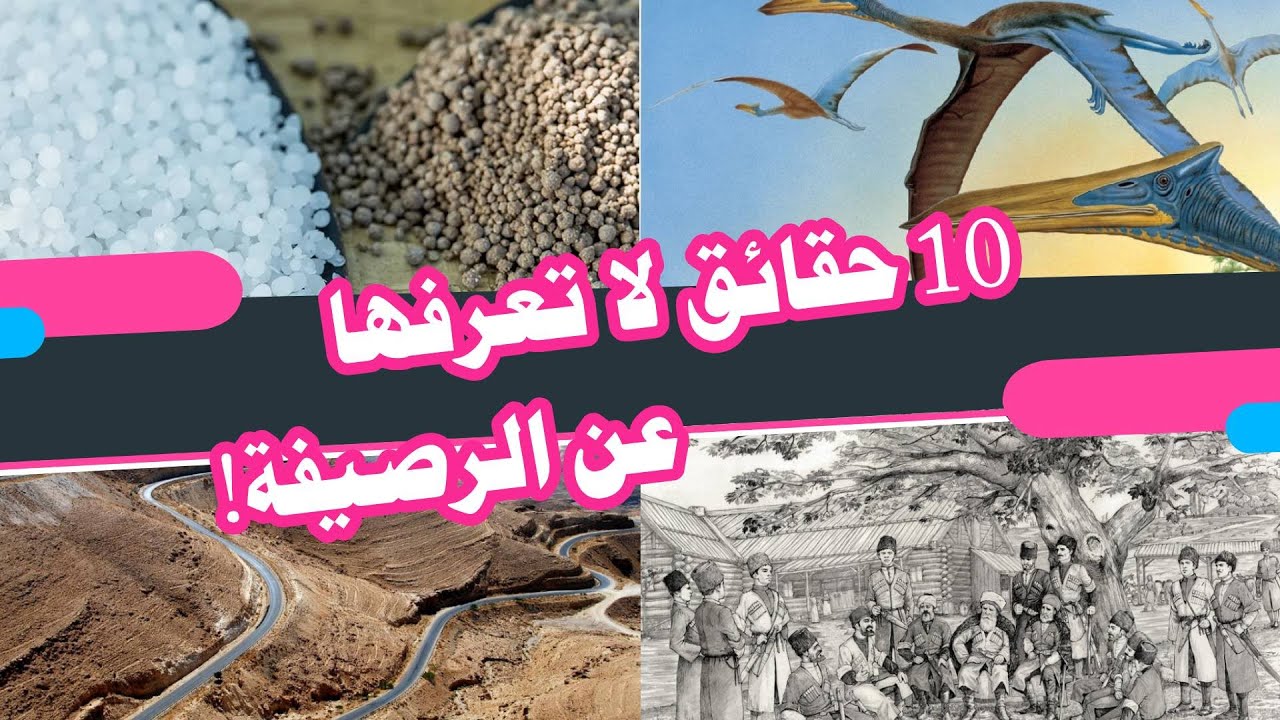 10 حقائق مذهلة لم تكن تعرفها عن الرصيفة 😱😱!