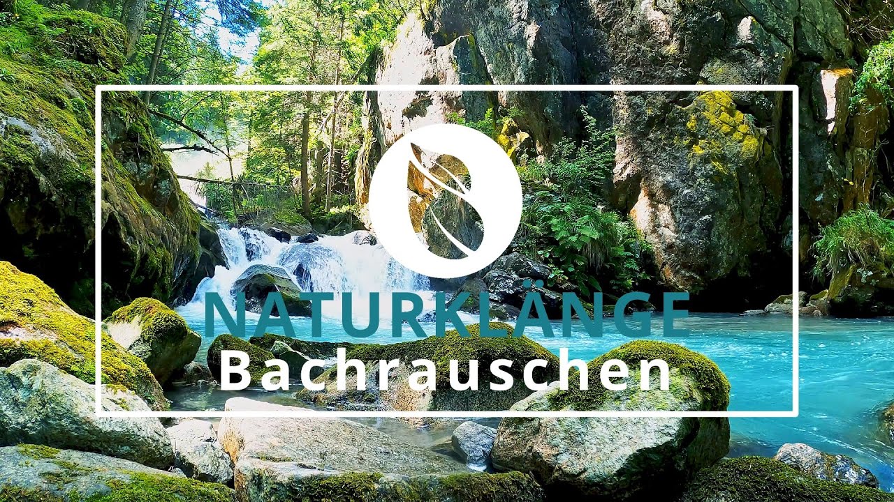 Naturklänge | Bachrauschen | Bachlauf rauschen und Bachgeräusche zum einschlafen