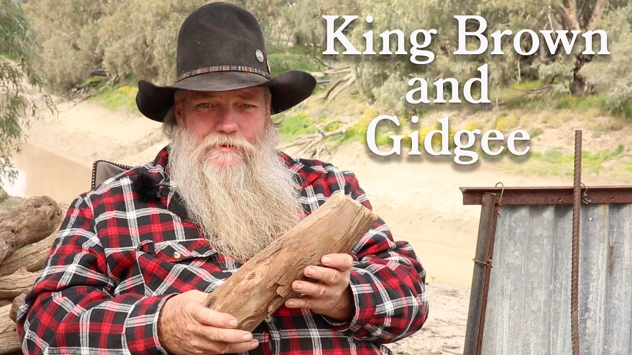 What the Hell is GIDGEE?