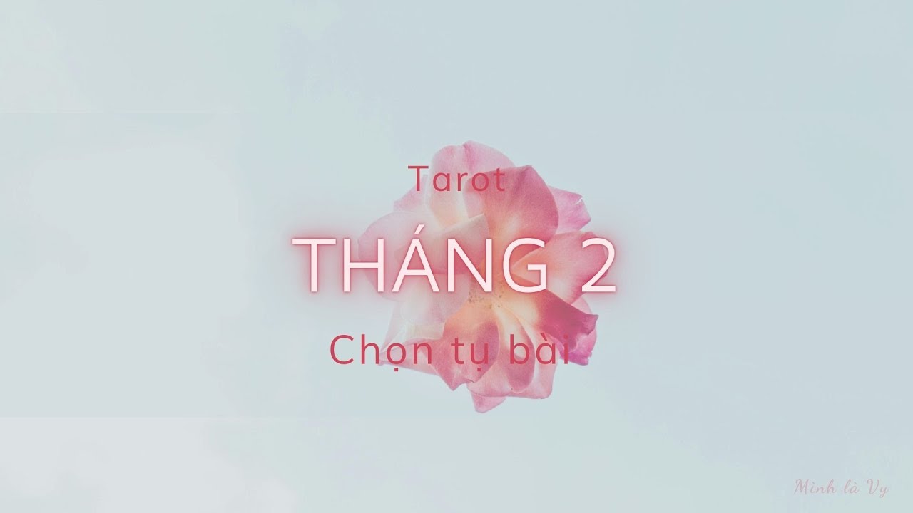 [CHỌN TỤ BÀI] - Tháng 2