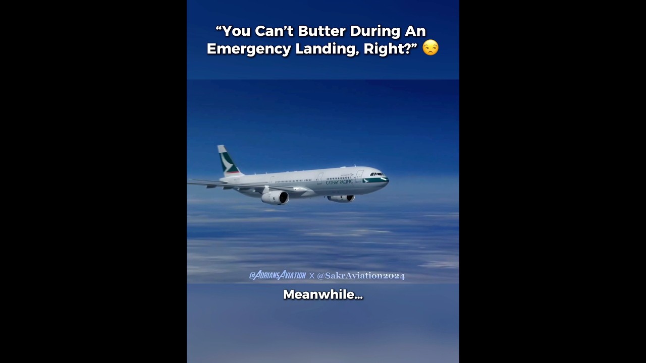You Can&rsquo;t Butter a Landing in an Emergency, Right? 😒 &mdash; Air Canada 143 🛬🔥#viralvideo #aviation