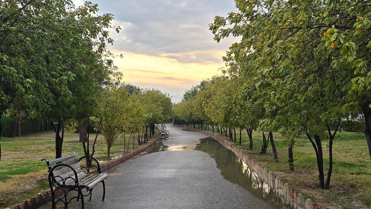 شاری کەلار :: Kalar City