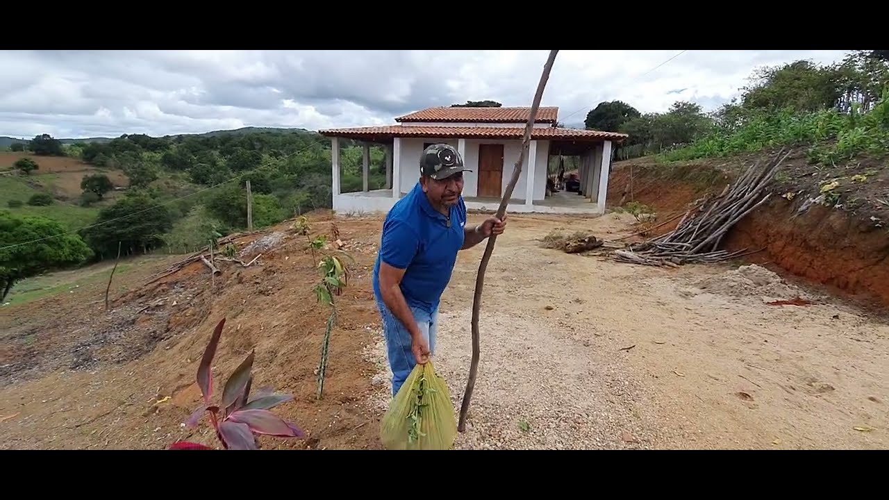 roça de batatas, construção depois das chuvas, o mato tomou conta da casa em construção