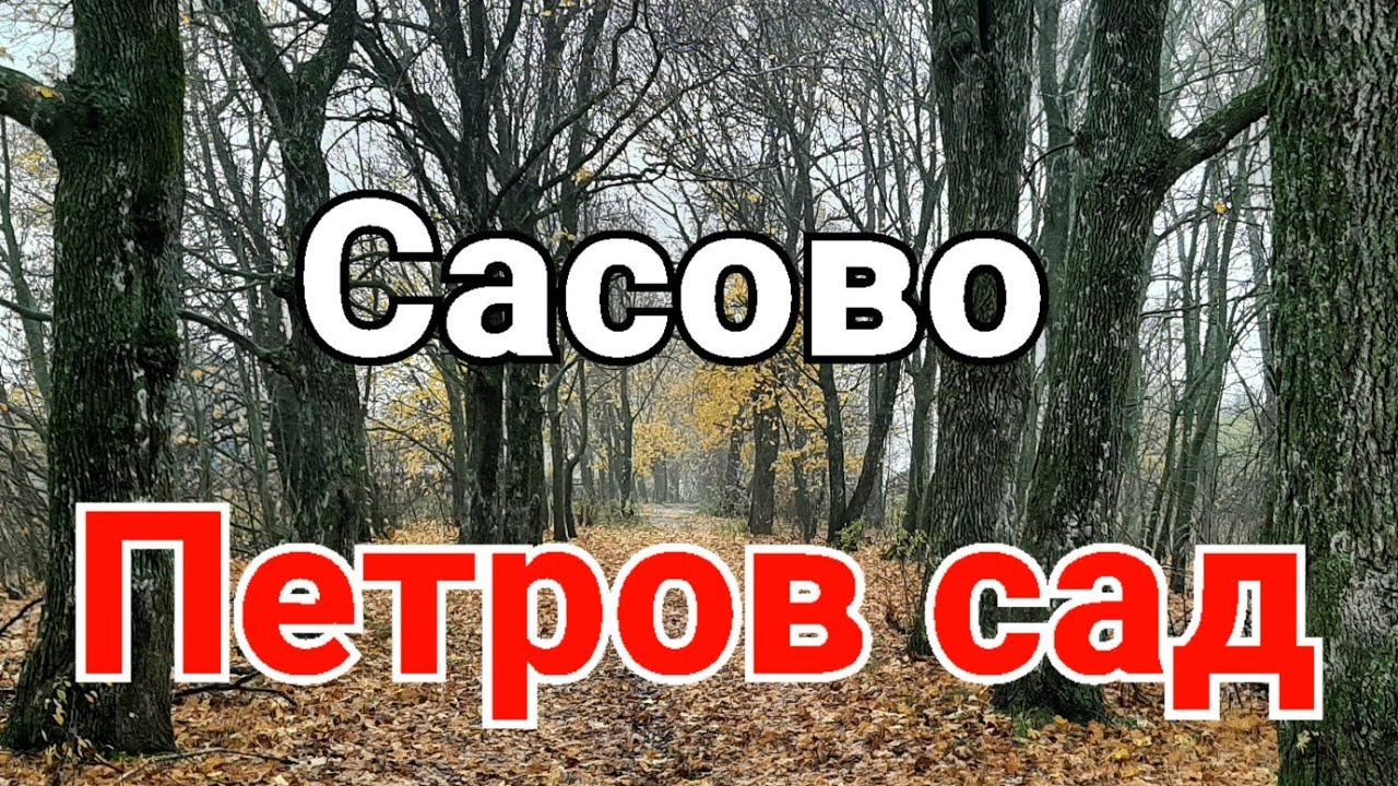 ПЕТРОВ САД. РЮРИКИ МЫ. #сасово