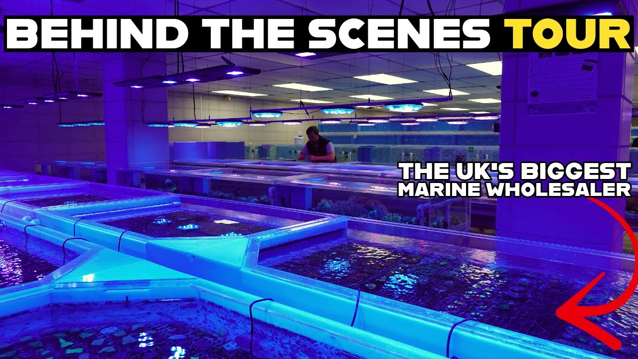 TROPICAL MARINE CENTRE & HORNIMAN MUSEUM | EXCLUSIVE FACILITY TOURS