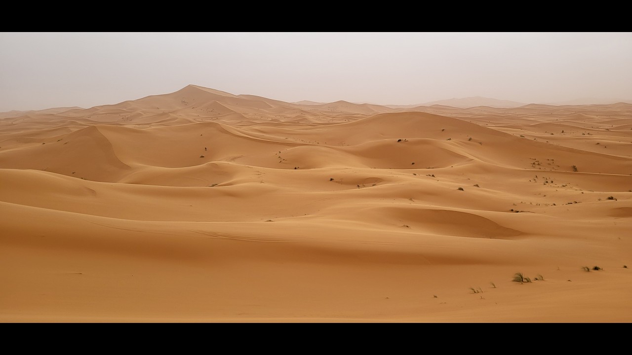 Road trip Azrou   Merzouga