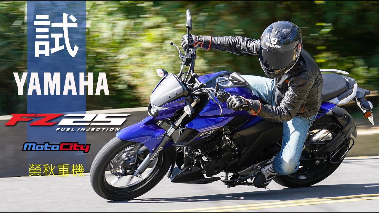 2021 YAMAHA FZ25