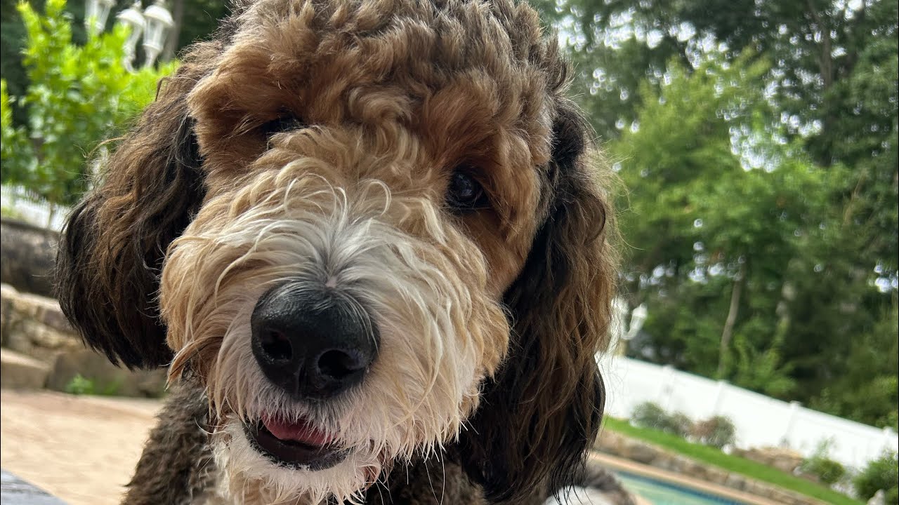 Where in your body feels the best? Powerful mindfulness tool to increase ease in your body.