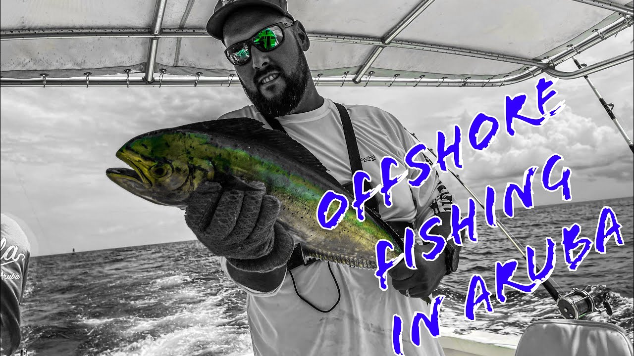 We went Offshore Fishing in Aruba!