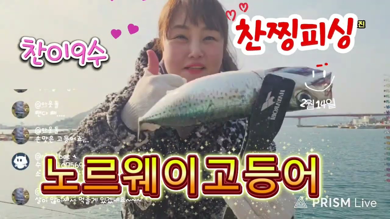 시장 고등어가 느나느나 난리도아니라예~~#한산도#고등어#낚시#통영