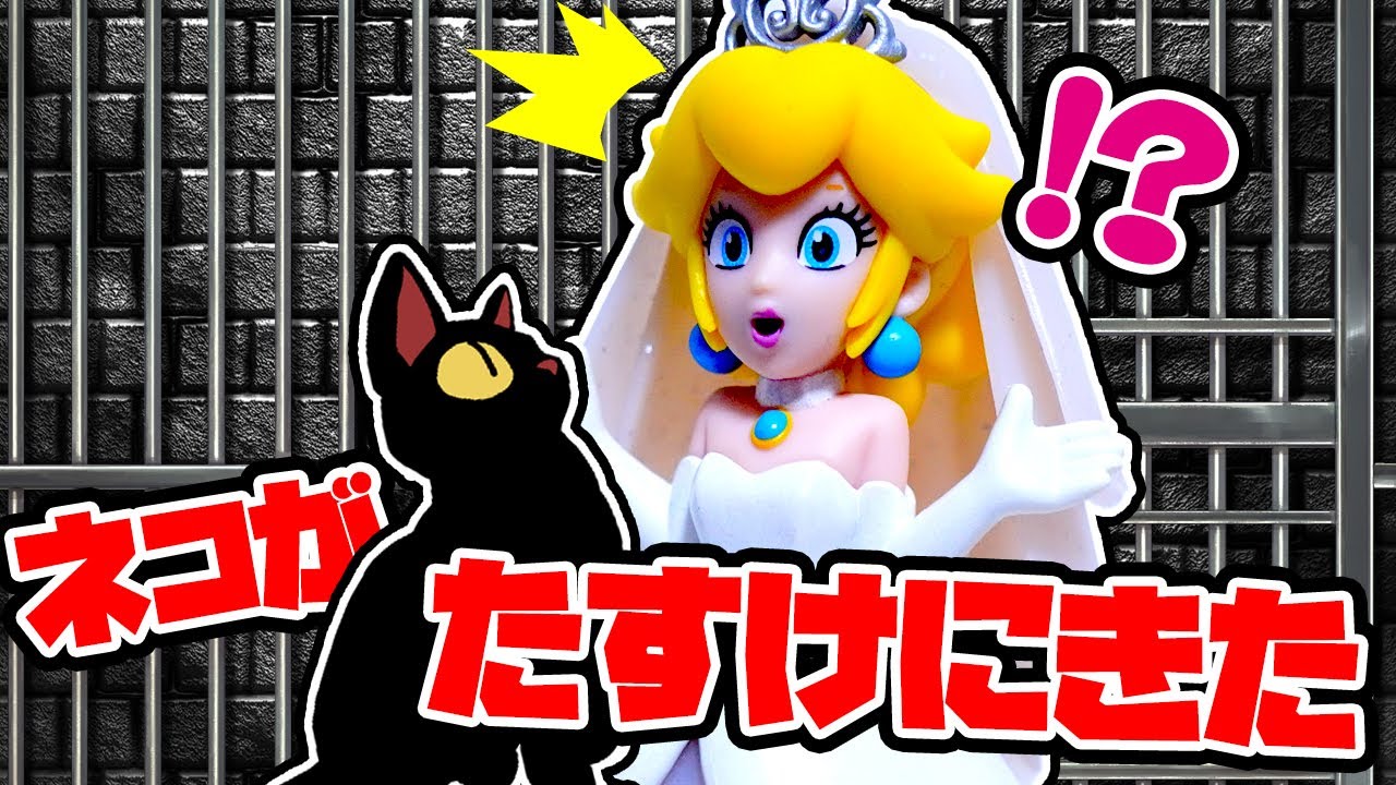 つかまったピーチ姫を助けに来たのは黒猫になったマリオだった！？ #マリオ