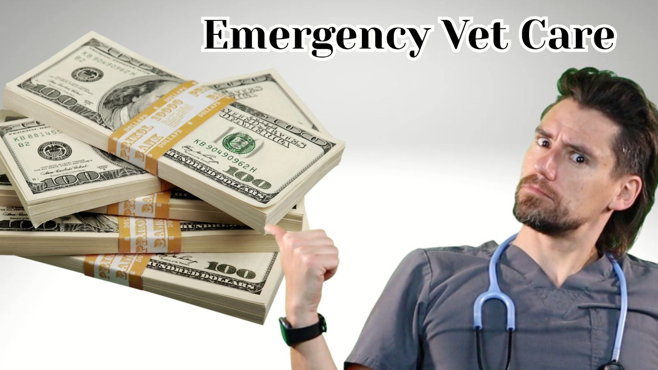 Expensive Emergency Vet Care.  I am disappointed.