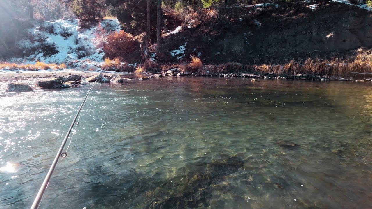 Colorado Fly Fishing Winter Road Trip!!! (Day 1) Plus New Camper Setup!