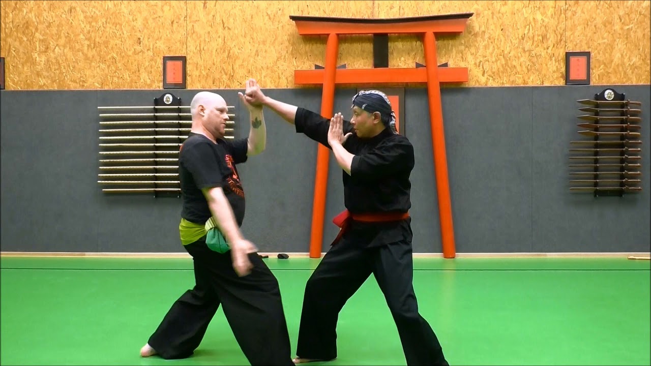 Silat Seminar with Master Joko Suseno 2019 at Kempokan Heidelberg, Germany