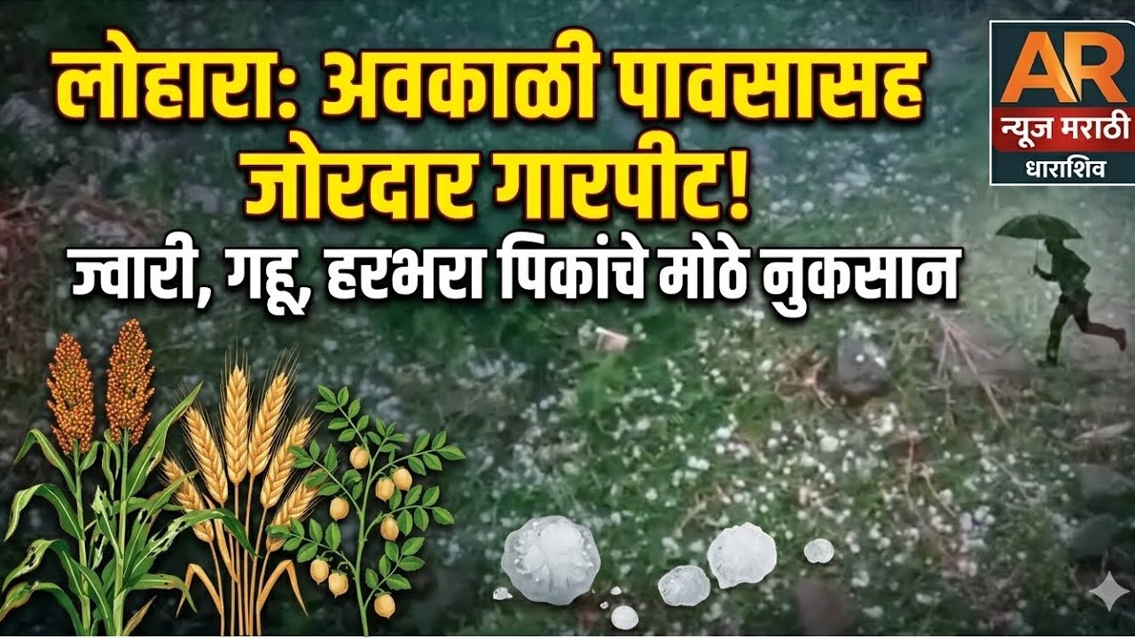 #लोहारा परिसरात अवकाळी पावसासह जोरदार गारपीट; शेतकऱ्यांची धावपळ,गारपिटीचा फटका:# News Lohara 