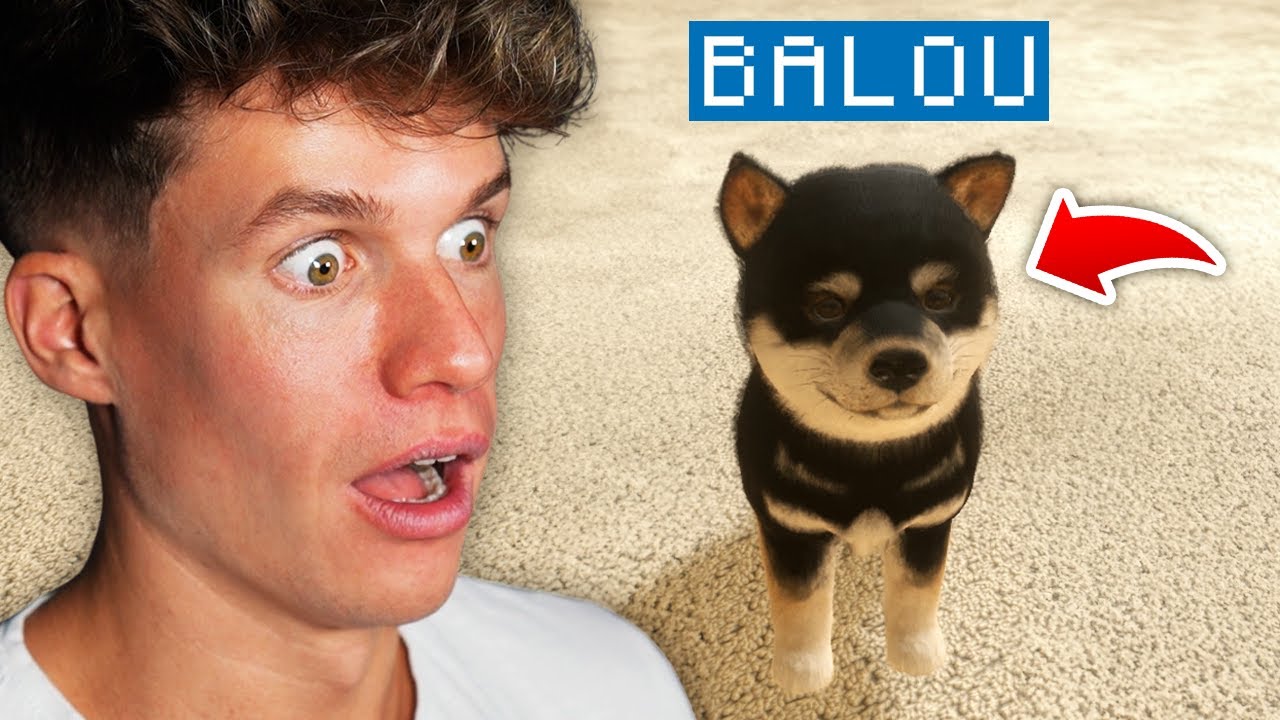 BALOU IST ZURÜCK 🐶🥹