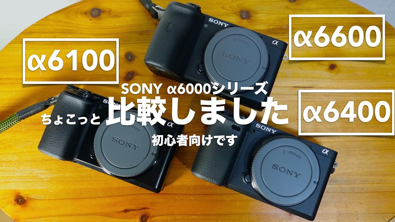 Небольшое сравнение &laquo;&alpha;6100&raquo;, &laquo;&alpha;6400&raquo; и &laquo;&alpha;6600&raquo;. Для начинающих фотографов. [SONY / APS-C]