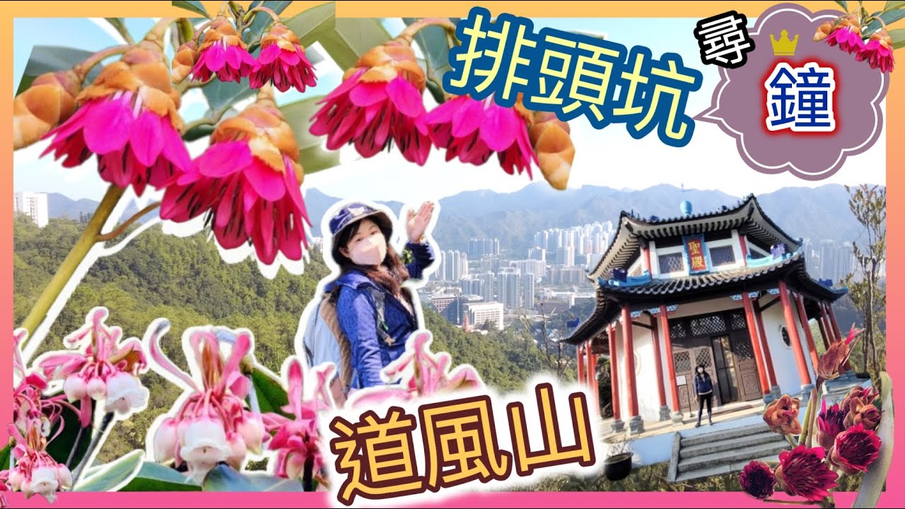 [2023無難度👶之尋玲兒🌺 賞「吊鐘王」🥰] 輕鬆排頭坑尋吊鐘、仿照北京天壇祈年殿💒、中國建築嘅基督教地方😊～道風山