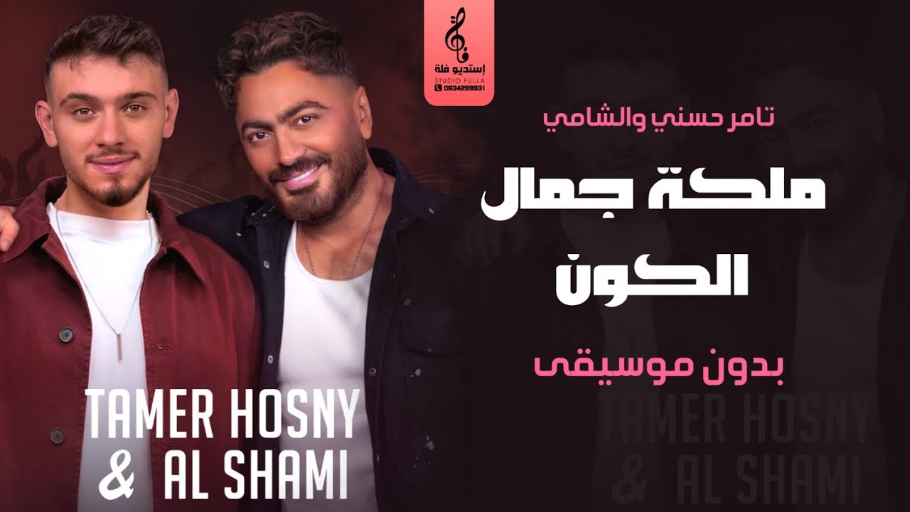ملكة جمال الكون بدون موسيقى - تامر حسني والشامي - اغاني رقص بدون موسيقى