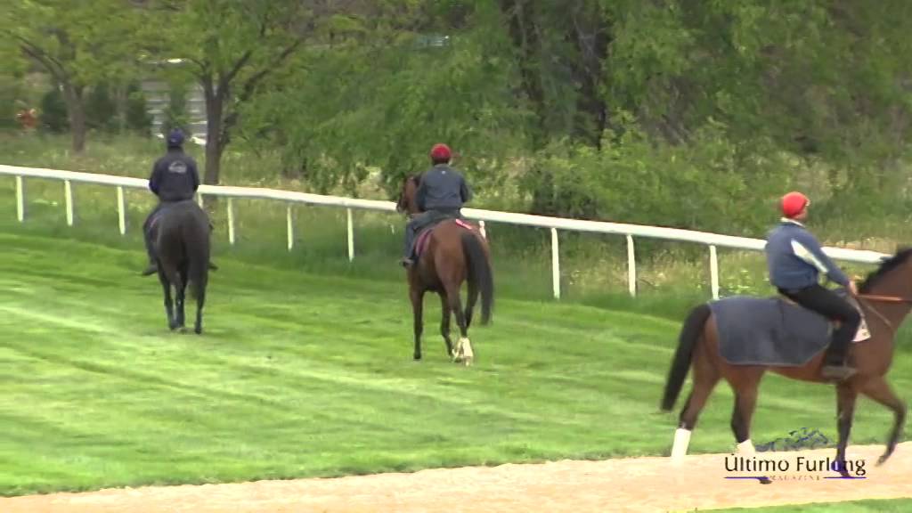 Último trabajo de Noozhoh Canarias de cara a las 2.000 Guineas.