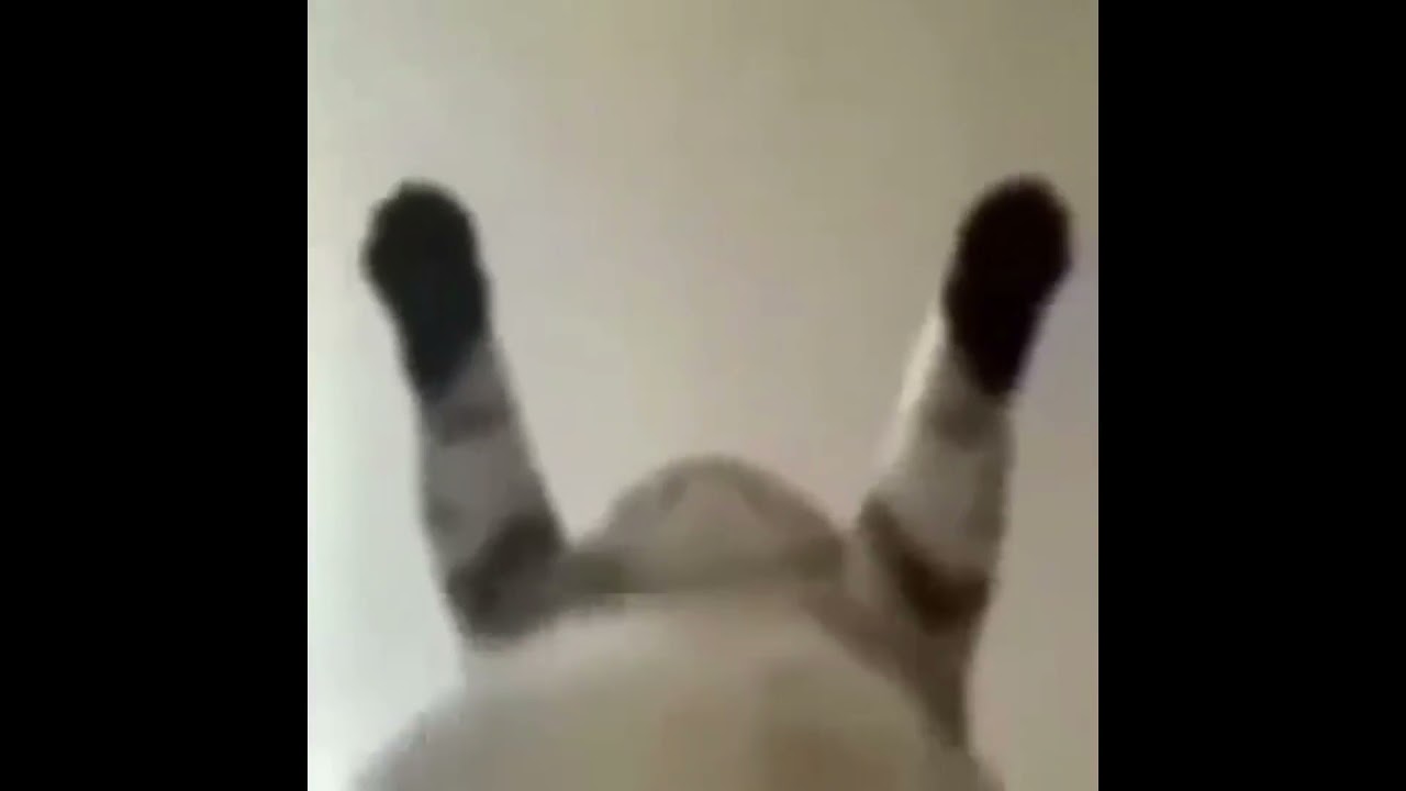 AQUI ESTA TU VIEJA IDIOTA!!! MIRA COMO ME LA CACHO!!! TOME SE&Ntilde;ORA!!!! TOMEEEEE