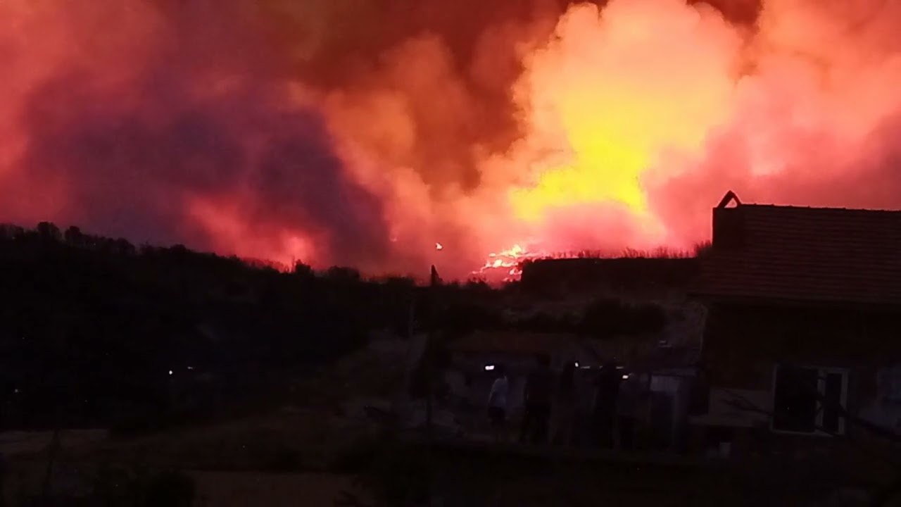 Uşak'ta Tarım Arazileri ve Ormanlık Alanda Yangın