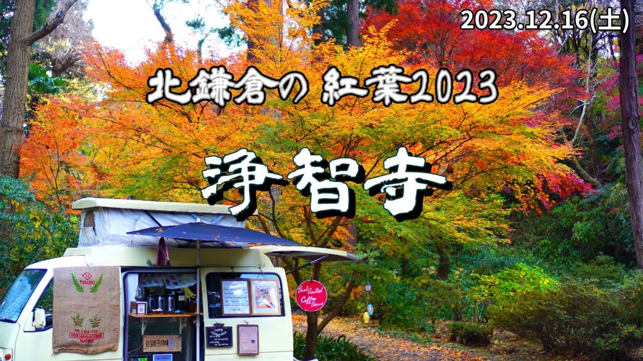 北鎌倉の紅葉2023｜浄智寺､今季三回目の来寺｡気になっていた横井戸の奥は！？