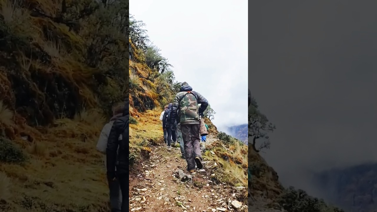 Birding on Top of the World 