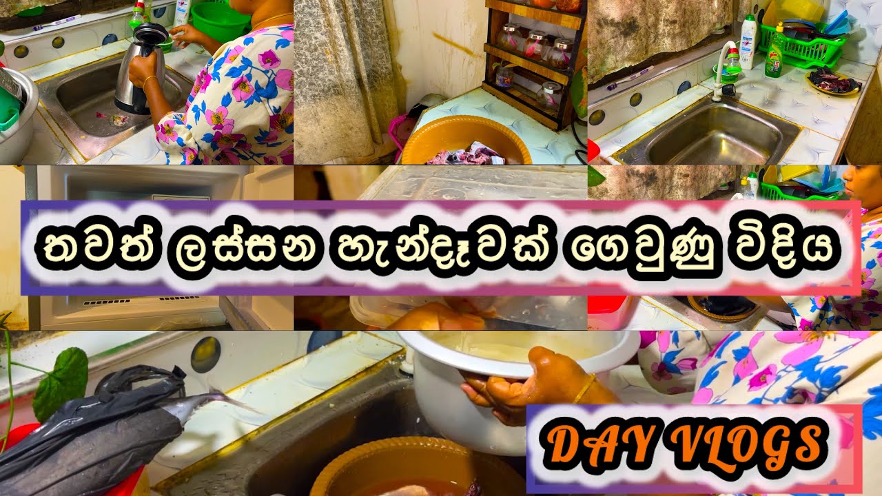 තවත් ලස්සන හැන්දෑවක් මගෙ ගෙවුනු විදිය❤️❤️