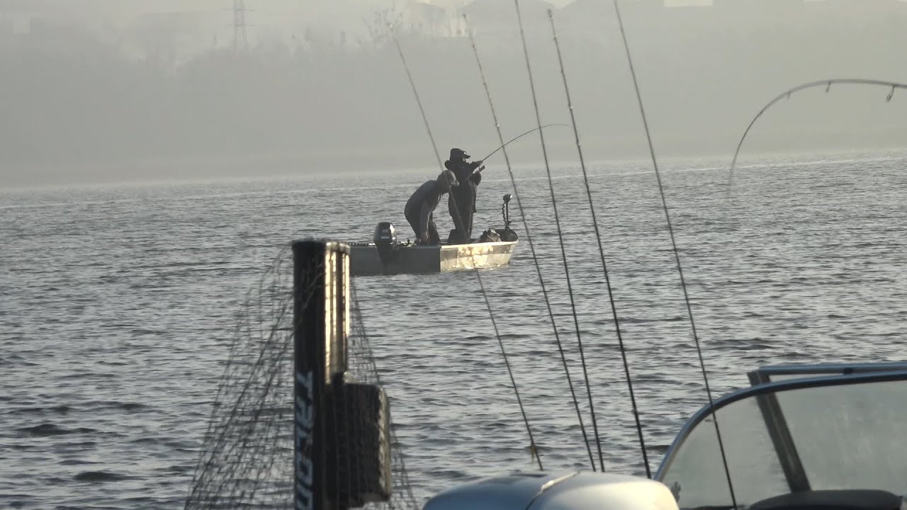 Duże szczupaki i olbrzymie okonie na Superłowisku, czyli Finał Garmin Fishing League 2019.