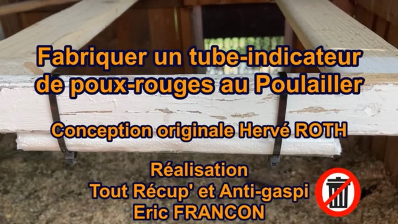 Fabriquer un tube indicateur de poux rouges au Poulailler