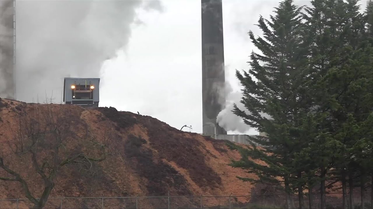 Rob Shaw: North Island mill closure comes after premier praises area as future of forest industry