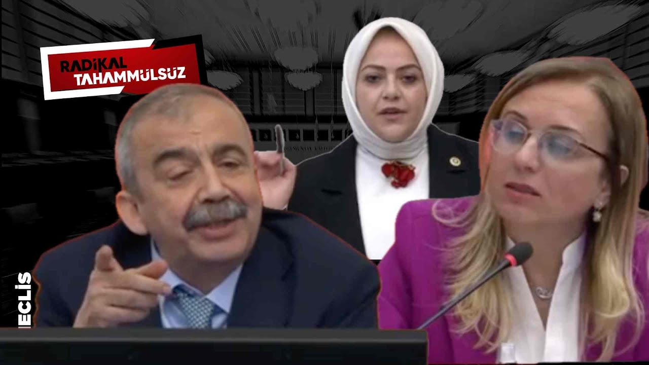 Meclis'te 'KÜRTÇE' krizi! MHP'li vekil Sırrı Süreyya Önder'den mikrofonu kapatmasını istedi | ARŞİV