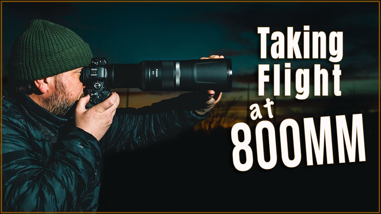 Without Stabilisation?! Canon EOS R at 800mm | RF f11 800mm LENS