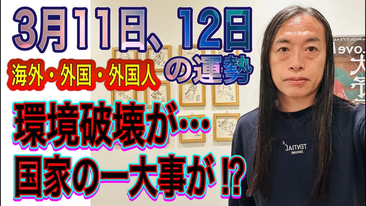 3月11日、12日の運勢 十二支別 【海外・外国・外国人】【環境破壊が…】【国家の一大事が⁉︎】【国境、ミサイル、軍隊】【交通機関のトラブル、事故、事件】